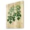 Designart - Vintage Green Leaves Plants II - Traditional Print on Natural Pine Wood